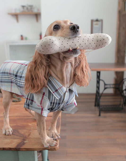 Fun Accessories to Sew for Your Dog