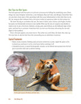 Load image into Gallery viewer, The Allergic Pet
