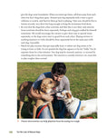 Load image into Gallery viewer, For the Love of Rescue Dogs
