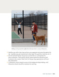 Load image into Gallery viewer, Canine Good Citizen - The Official AKC Guide
