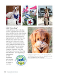 Load image into Gallery viewer, Canine Good Citizen - The Official AKC Guide
