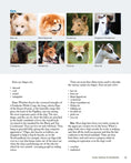 Load image into Gallery viewer, New Complete Dog Book, The, 23rd Edition

