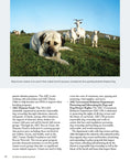 Load image into Gallery viewer, New Complete Dog Book, The, 23rd Edition

