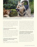 Load image into Gallery viewer, Positive Training for Aggressive and Reactive Dogs
