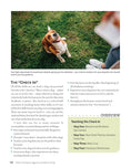 Load image into Gallery viewer, Positive Training for Aggressive and Reactive Dogs
