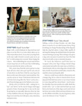 Load image into Gallery viewer, Positive Training for Aggressive and Reactive Dogs
