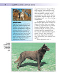 Load image into Gallery viewer, Australian Cattle Dog
