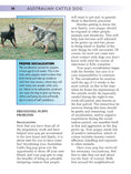 Load image into Gallery viewer, Australian Cattle Dog
