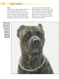 Load image into Gallery viewer, Cane Corso
