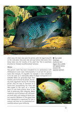 Cichlids (PB)