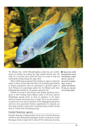 Cichlids (PB)