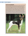 Load image into Gallery viewer, Rat Terrier (PB)
