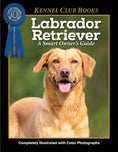 Load image into Gallery viewer, Labrador Retriever
