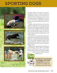 Load image into Gallery viewer, Labrador Retriever
