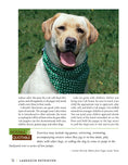 Load image into Gallery viewer, Labrador Retriever
