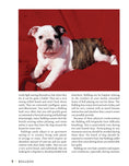 Load image into Gallery viewer, Bulldog
