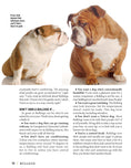 Load image into Gallery viewer, Bulldog
