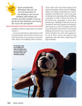Load image into Gallery viewer, Bulldog
