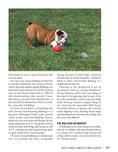 Load image into Gallery viewer, Bulldog
