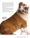 Load image into Gallery viewer, Bulldog
