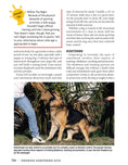 Load image into Gallery viewer, German Shepherd Dog
