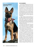 Load image into Gallery viewer, German Shepherd Dog
