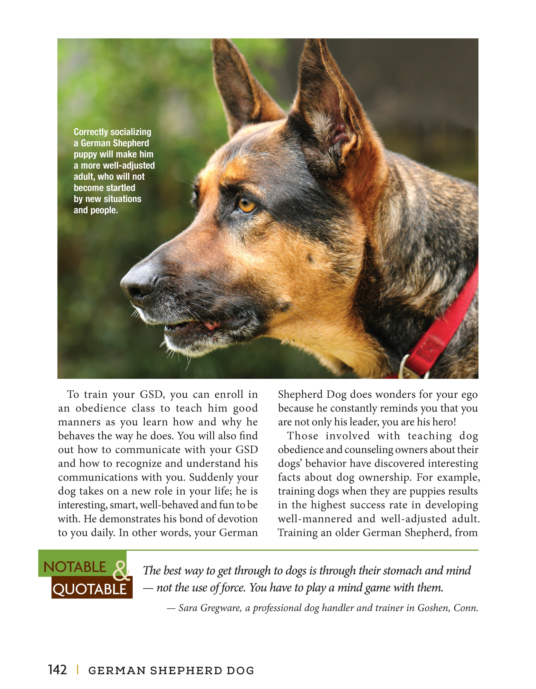 German Shepherd Dog