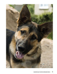 Load image into Gallery viewer, German Shepherd Dog
