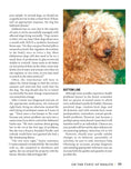 Load image into Gallery viewer, Poodle
