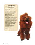 Load image into Gallery viewer, Poodle
