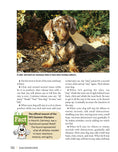 Load image into Gallery viewer, Dachshund
