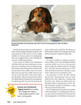 Load image into Gallery viewer, Dachshund
