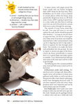 Load image into Gallery viewer, American Pit Bull Terrier
