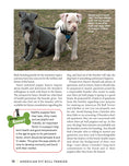 Load image into Gallery viewer, American Pit Bull Terrier
