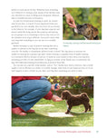 Load image into Gallery viewer, Dog Behavior Problem Solver
