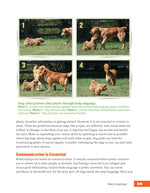 Rescued Dog Problem Solver