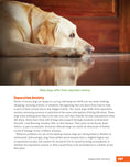 Load image into Gallery viewer, Rescued Dog Problem Solver
