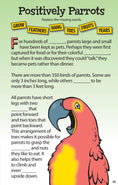 Load image into Gallery viewer, Awesome Bird Puzzles for Kids
