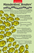 Load image into Gallery viewer, Awesome Undersea Activities for Kids
