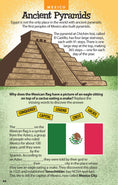 Load image into Gallery viewer, Amazing World Trivia for Kids
