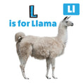 Load image into Gallery viewer, My First ABC Animal Book
