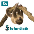 Load image into Gallery viewer, My First ABC Animal Book
