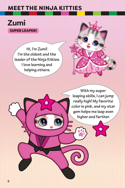 Ninja Kitties Trouble at the Bridge