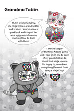 Ninja Kitties Trouble at the Bridge