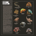 Load image into Gallery viewer, My Sticker Paintings: Reptiles

