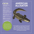 Load image into Gallery viewer, My Sticker Paintings: Reptiles
