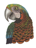 Load image into Gallery viewer, TangleEasy Lined Journal Parrot
