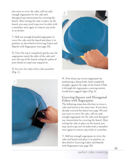 Cake Decorating Basics