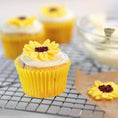 Load image into Gallery viewer, Special Cupcakes
