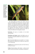 Load image into Gallery viewer, Popular Amphibians
